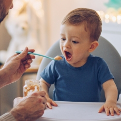 Baby Food